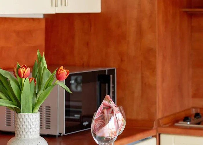 Apartman Jasny I Delikatny Sun Seasons 24 W Kolobrzegu By Renters Kołobrzeg